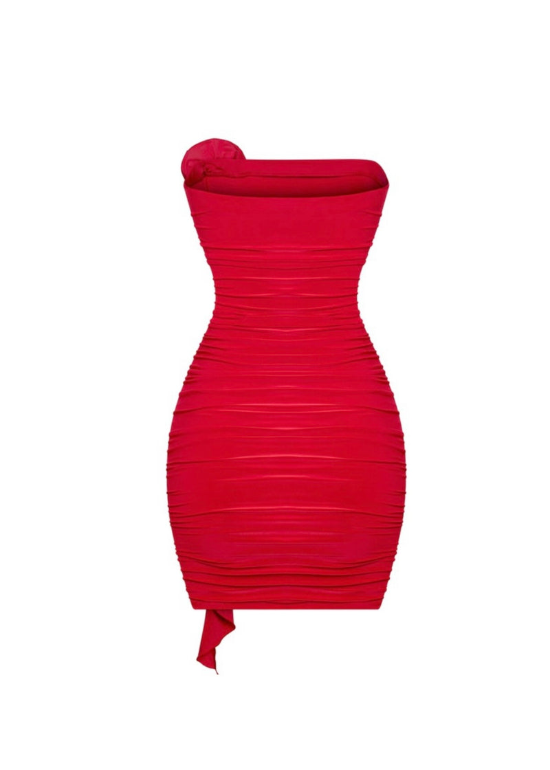 Rose Mini Dress (RED)
